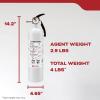 imageKidde Auto Fire Extinguisher for Car ampamp Truck 5BC 32 Lbs Dry Chemical Extinguisher Strap Bracket IncludedM10G