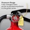 imageKidde Fire Extinguisher for Commercial Use 3A40BC 9 Lbs Refillable ampamp Reusable Hose ampamp Wall Mount Included1 Pack