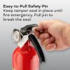 imageKidde Kitchen Fire Extinguisher Home Use for Grease Fires 39 Lbs Wall Mount Included WhiteVariety Pack