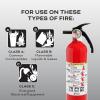imageKidde Kitchen Fire Extinguisher Home Use for Grease Fires 39 Lbs Wall Mount Included WhiteVariety Pack