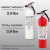 imageKidde Kitchen Fire Extinguisher Home Use for Grease Fires 39 Lbs Wall Mount Included WhiteVariety Pack