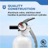 imageKidde Mariner 110 Marine Fire Extinguisher for Boats 1A10BC 39 Lbs Coast Guard Approved Strap Bracket Included White 2 PackMAR110