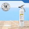imageKidde Mariner 110 Marine Fire Extinguisher for Boats 1A10BC 39 Lbs Coast Guard Approved Strap Bracket Included White 2 PackMAR110