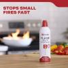 imageKidde Flame Out Fire Fighting Spray 14oz for Home Use Kitchens Dorms Apartments1 Pack
